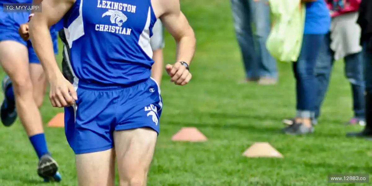 精彩内容，尽在掌握！🎬🔥